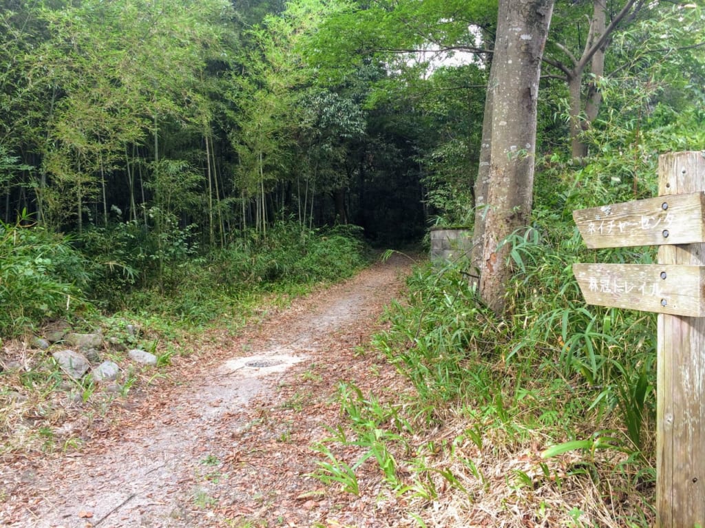 東近江市の森里川湖つながりフォトコンテストの例3