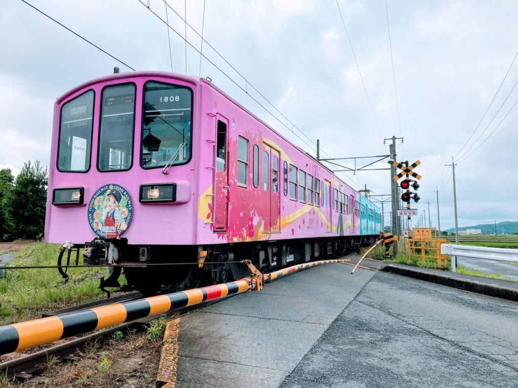 近江鉄道、車両