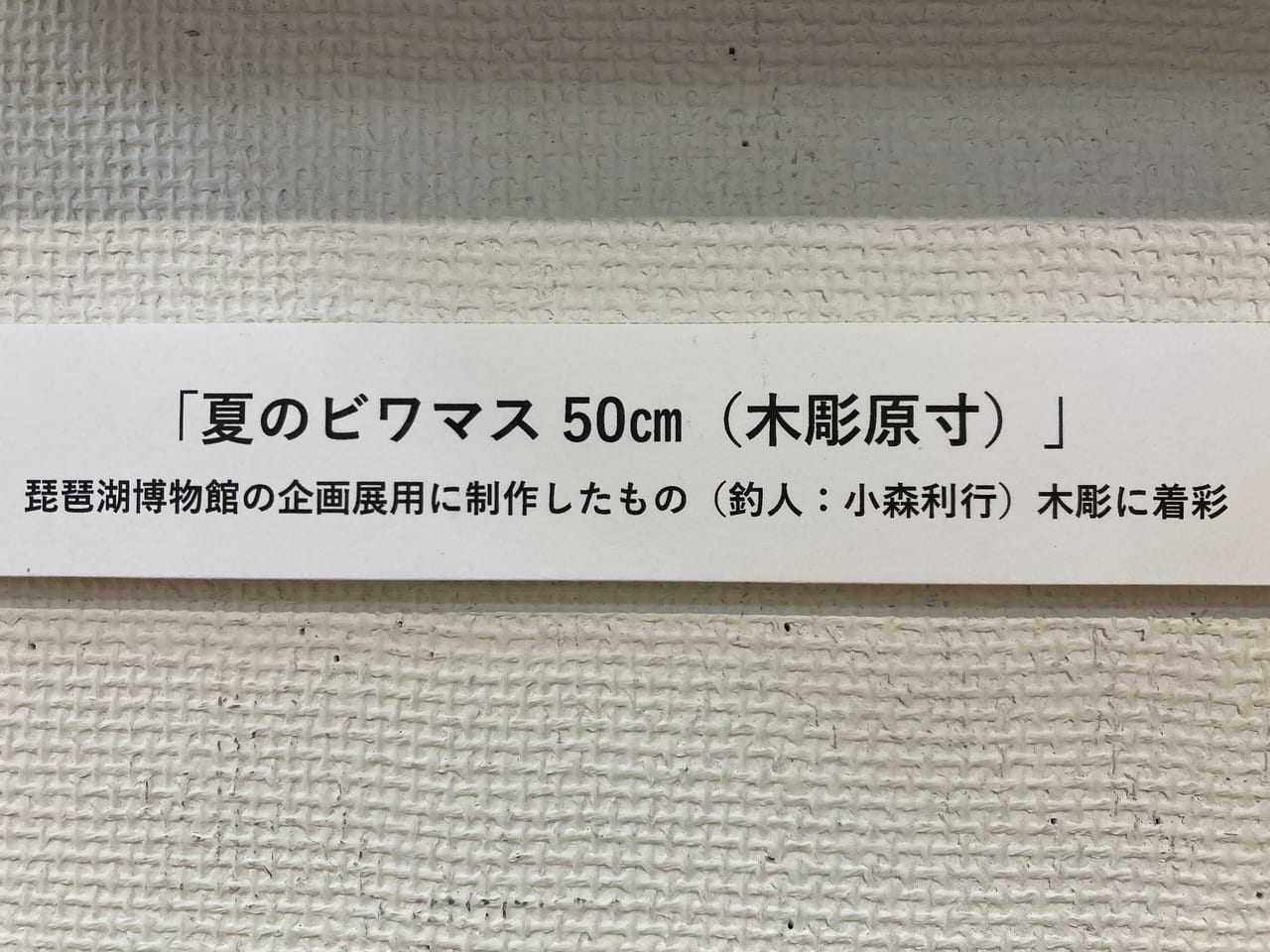 東近江市能登川博物館4