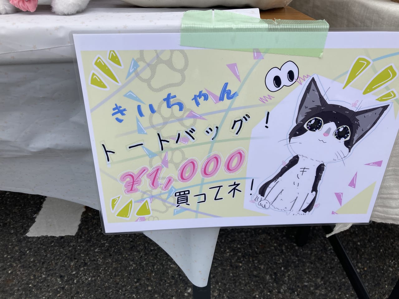 保護猫譲渡会-5