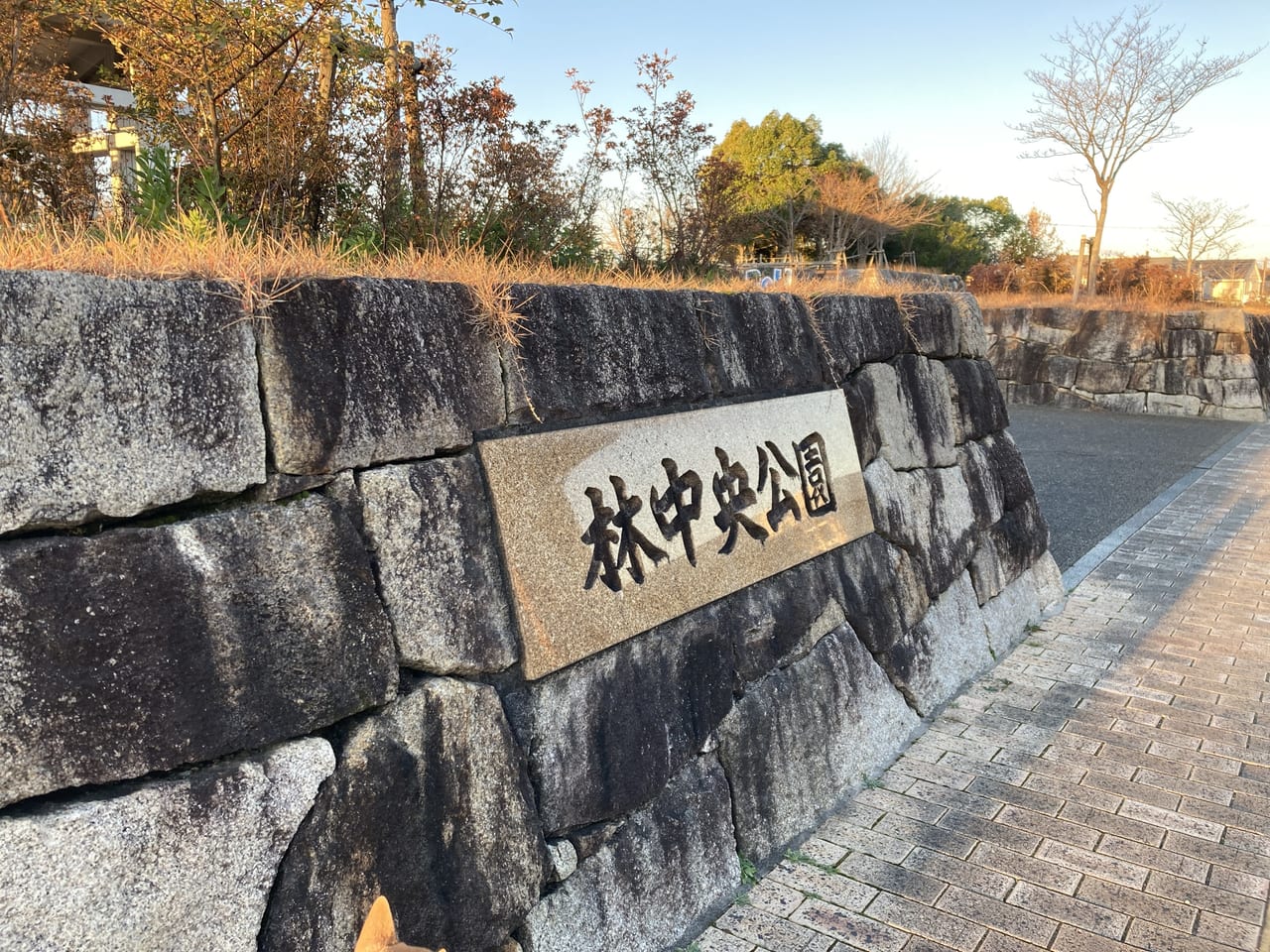 林中央公園1