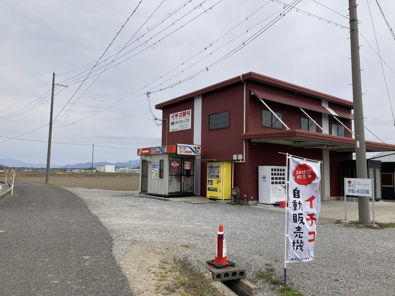 TANABERRY FARM（タナベリーファーム）1