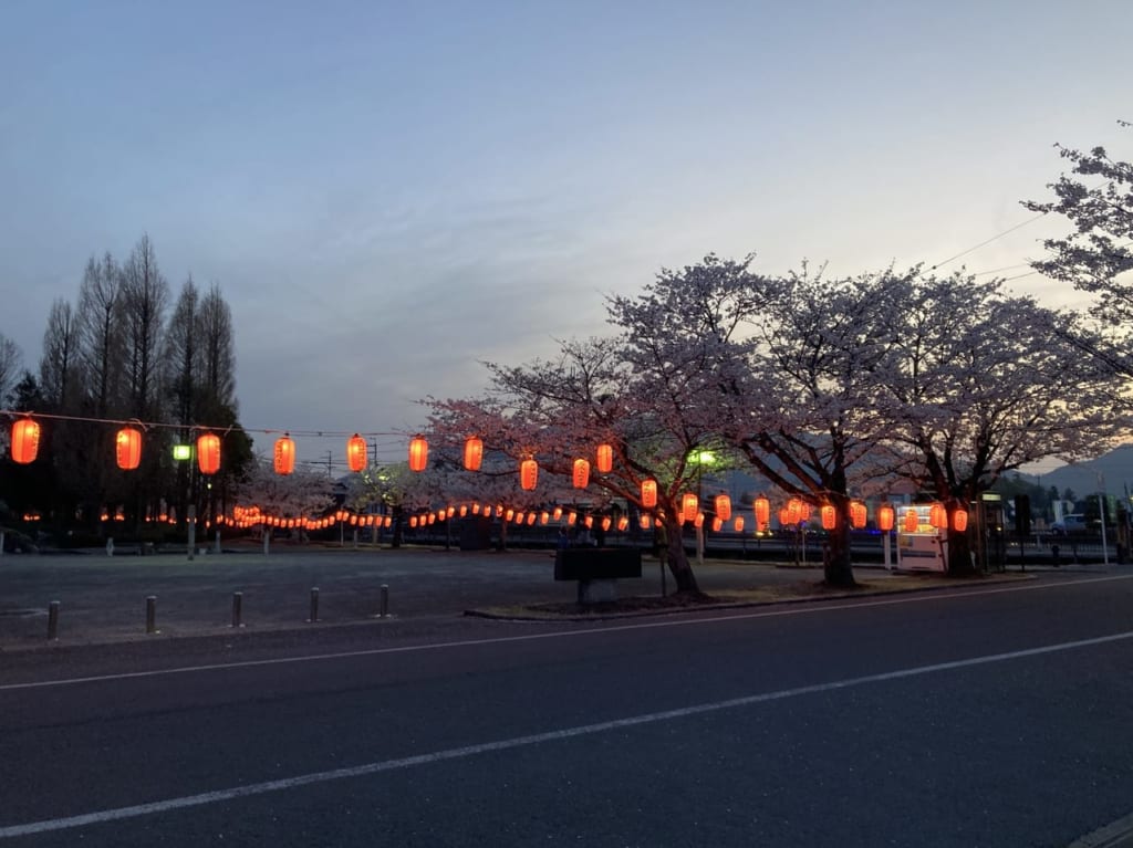 第2回五個荘中央公園桜まつり3