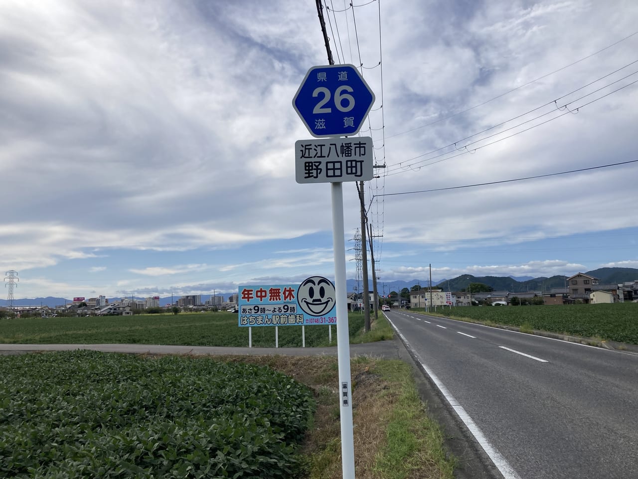 野田町のコスモス畑１