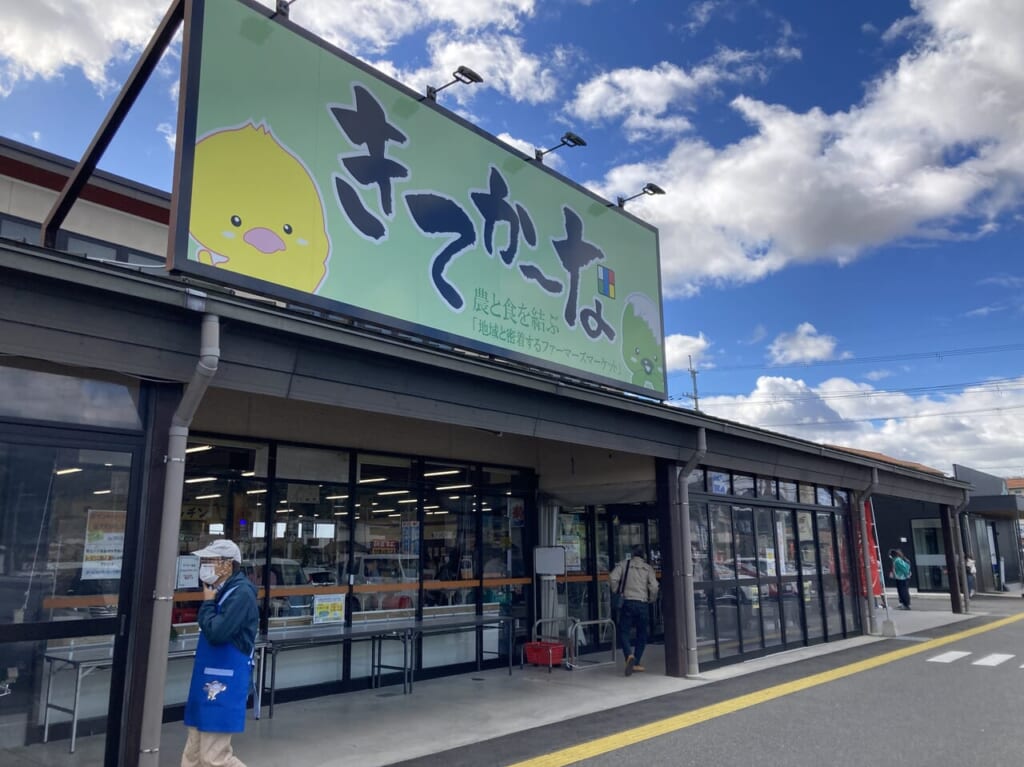 きてかーな2