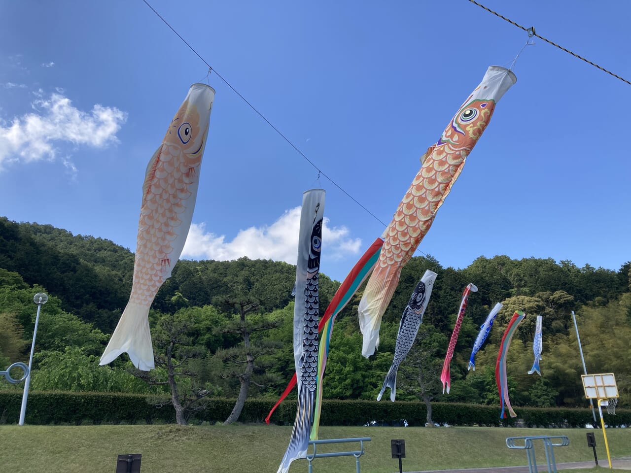 東近江市立やわらぎの郷公園4