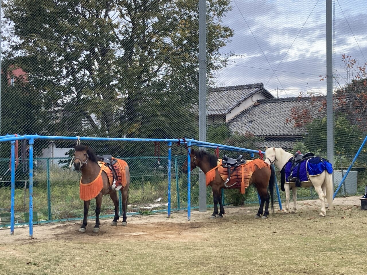 あづち信長まつり5