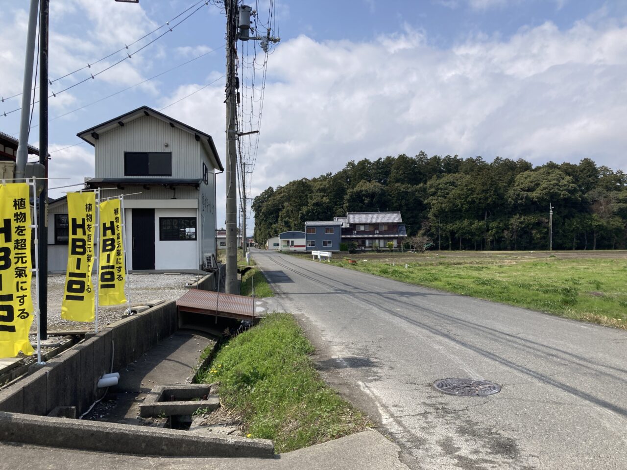 お花ジェラート6