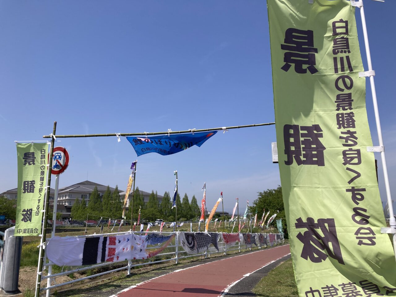 白鳥川2