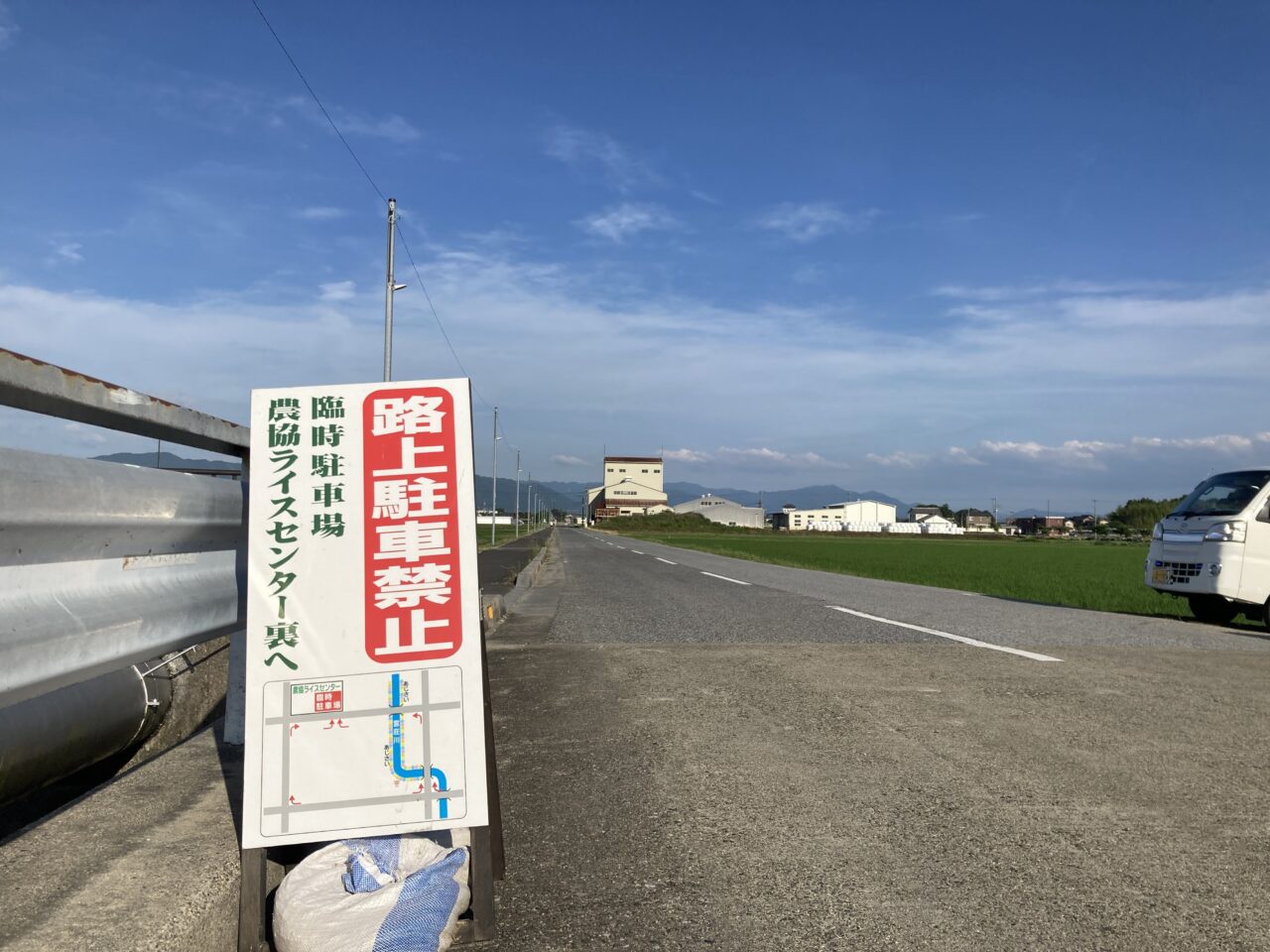 紫陽花10