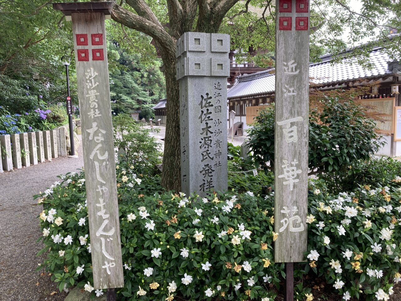 ささき1