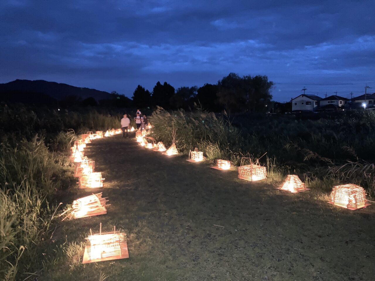 ヨシ灯り3
