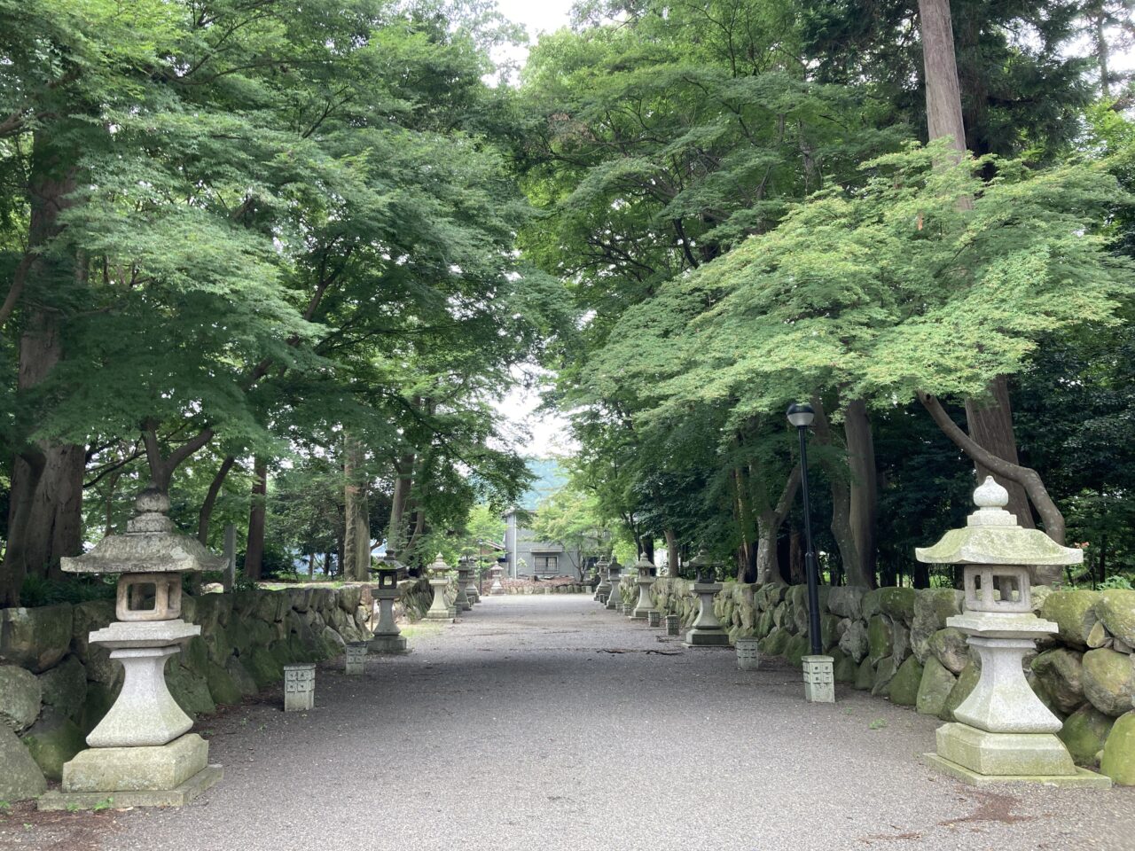 ささきじんじゃ3