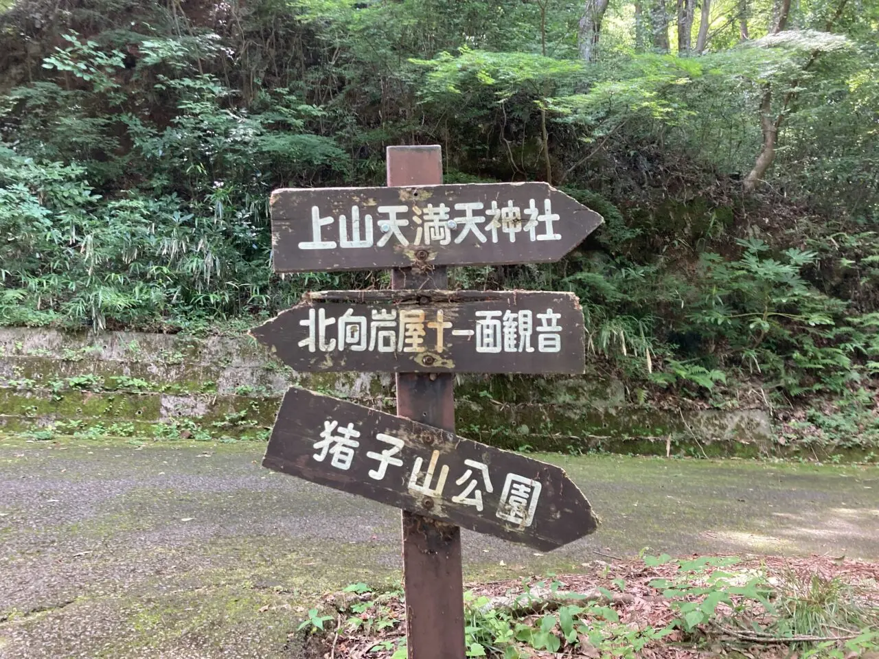 せんにちえ1