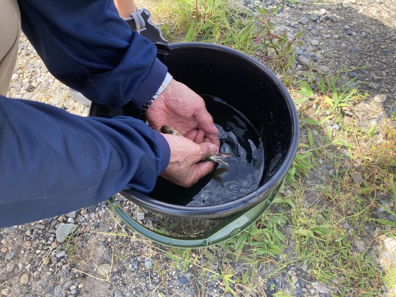 魚釣り大会2