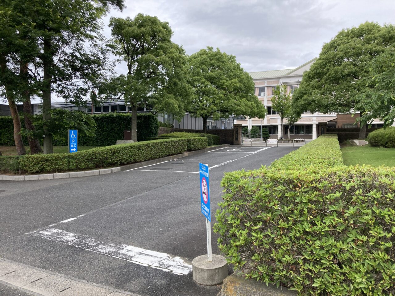 大学