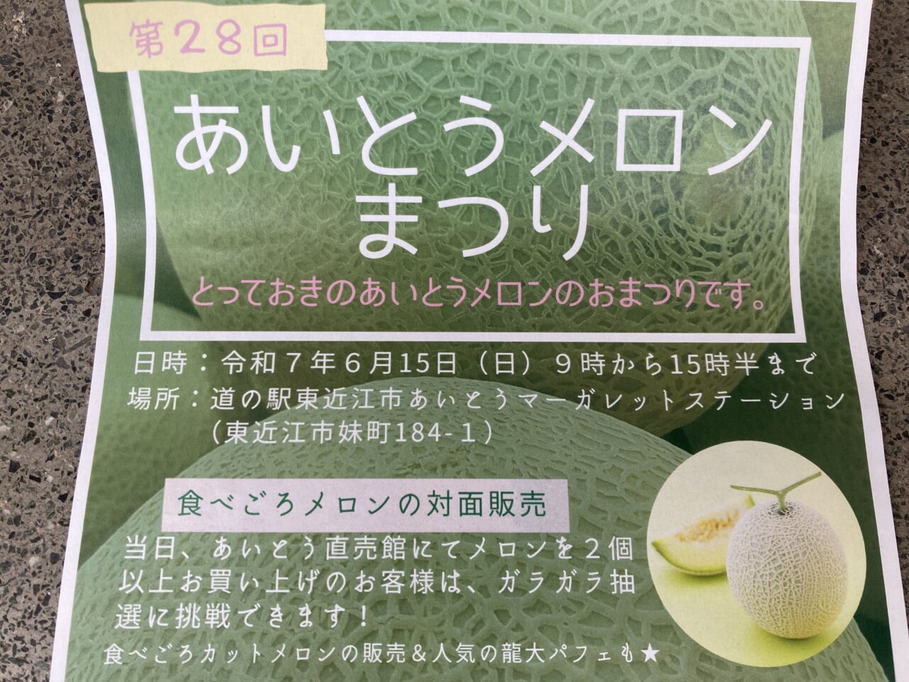 愛東マーガレット4