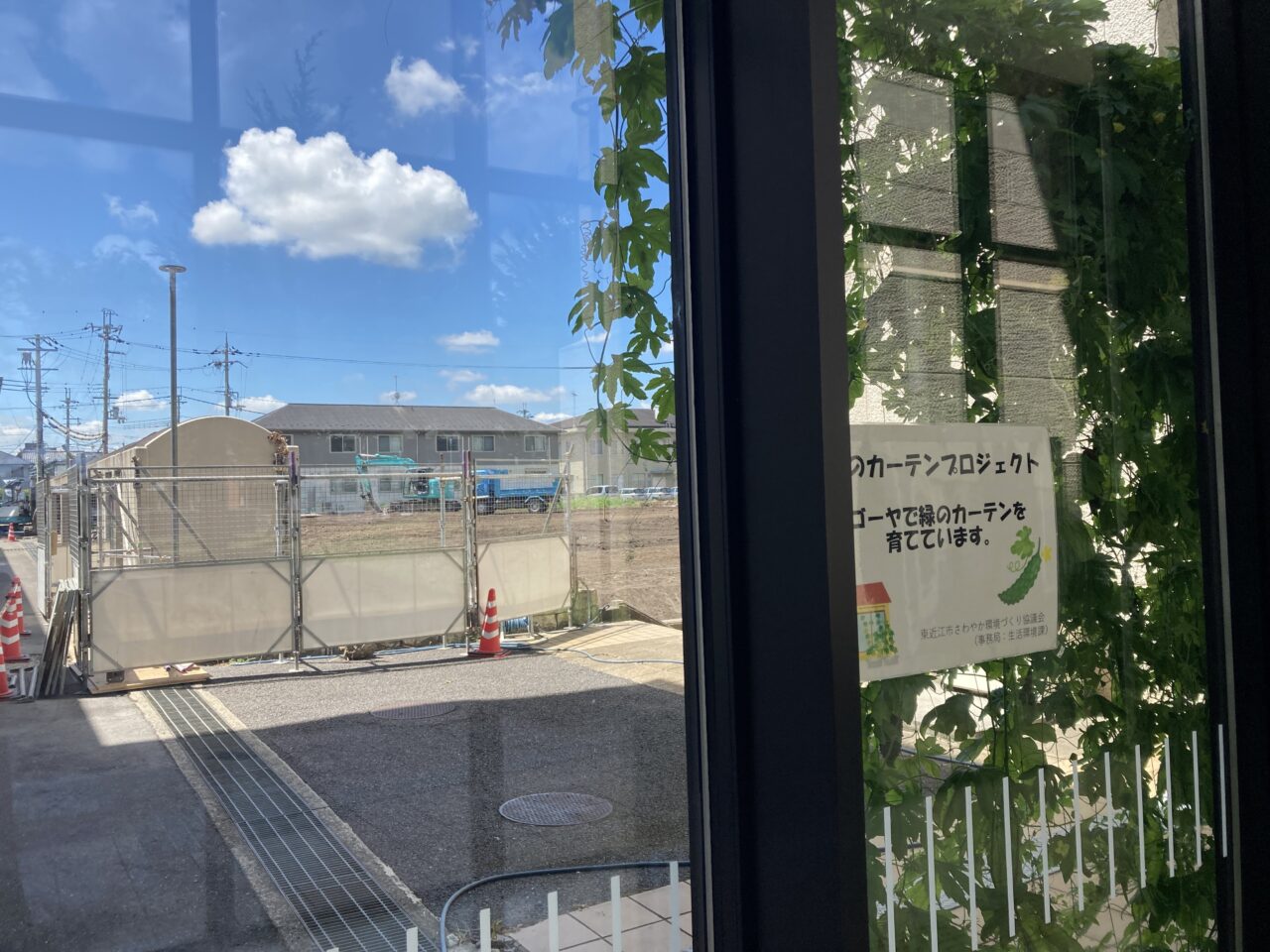 緑のカーテン4