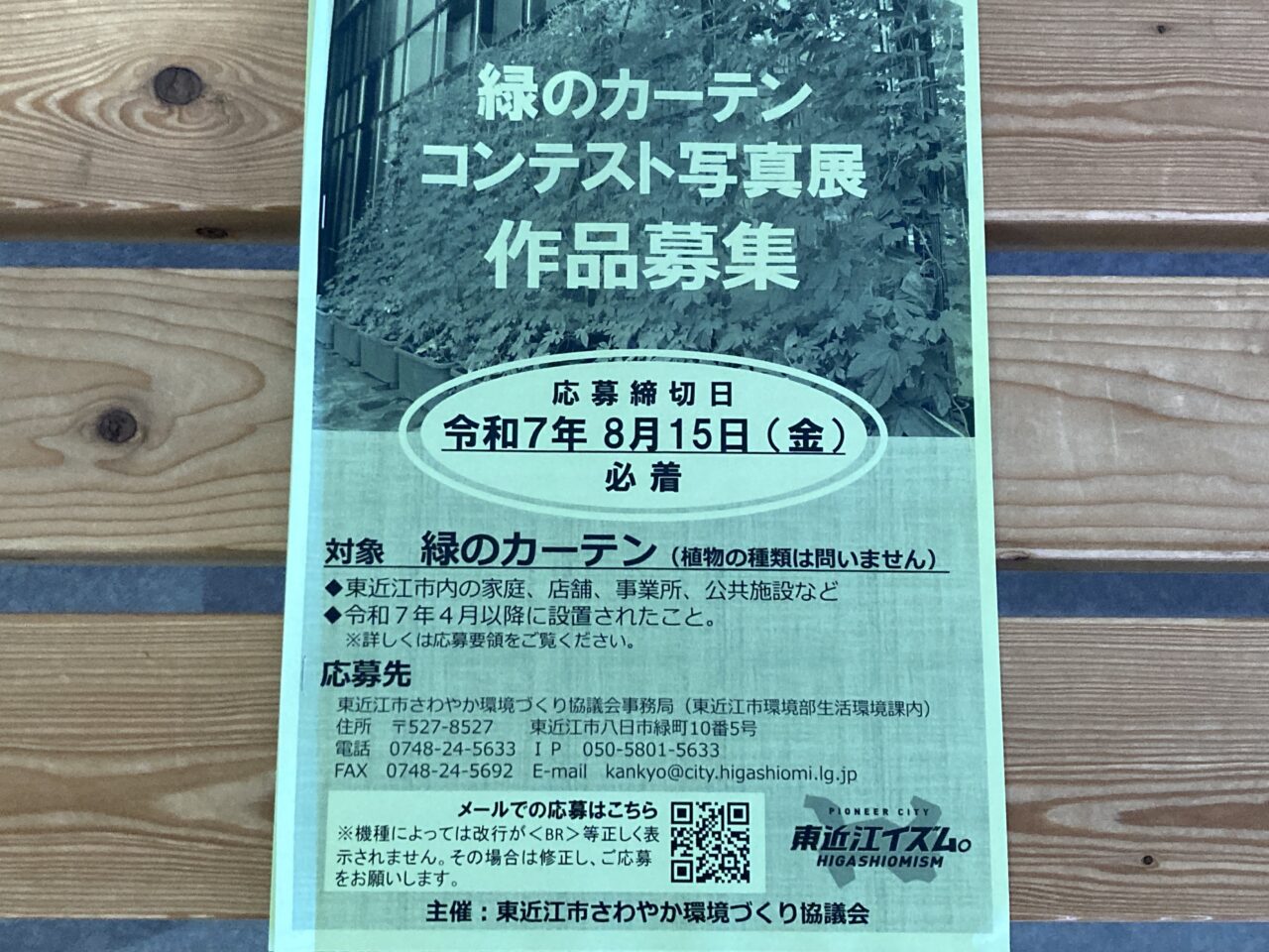 緑のカーテン1
