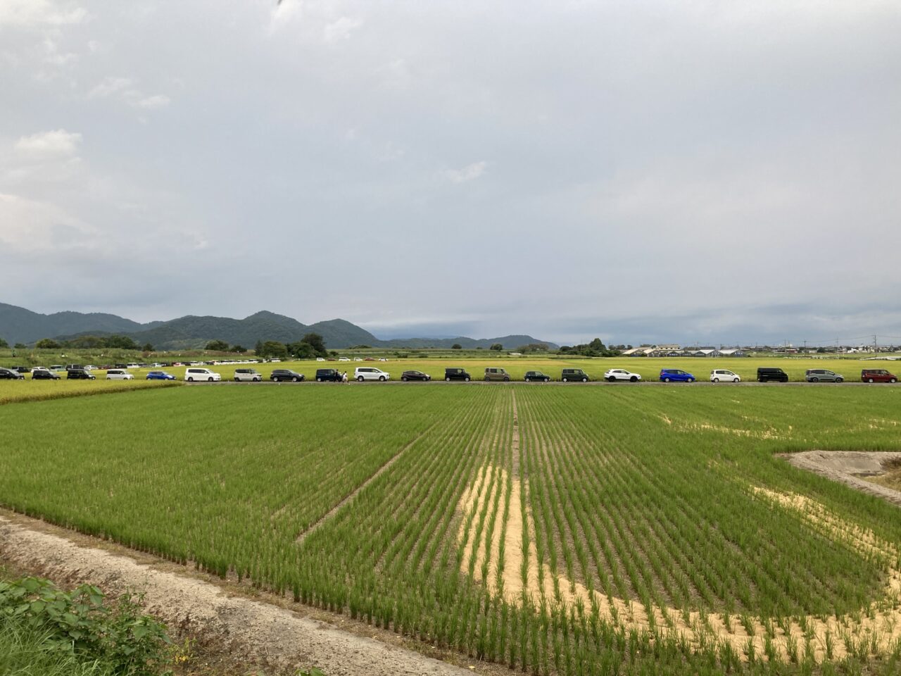 道路、駐車場