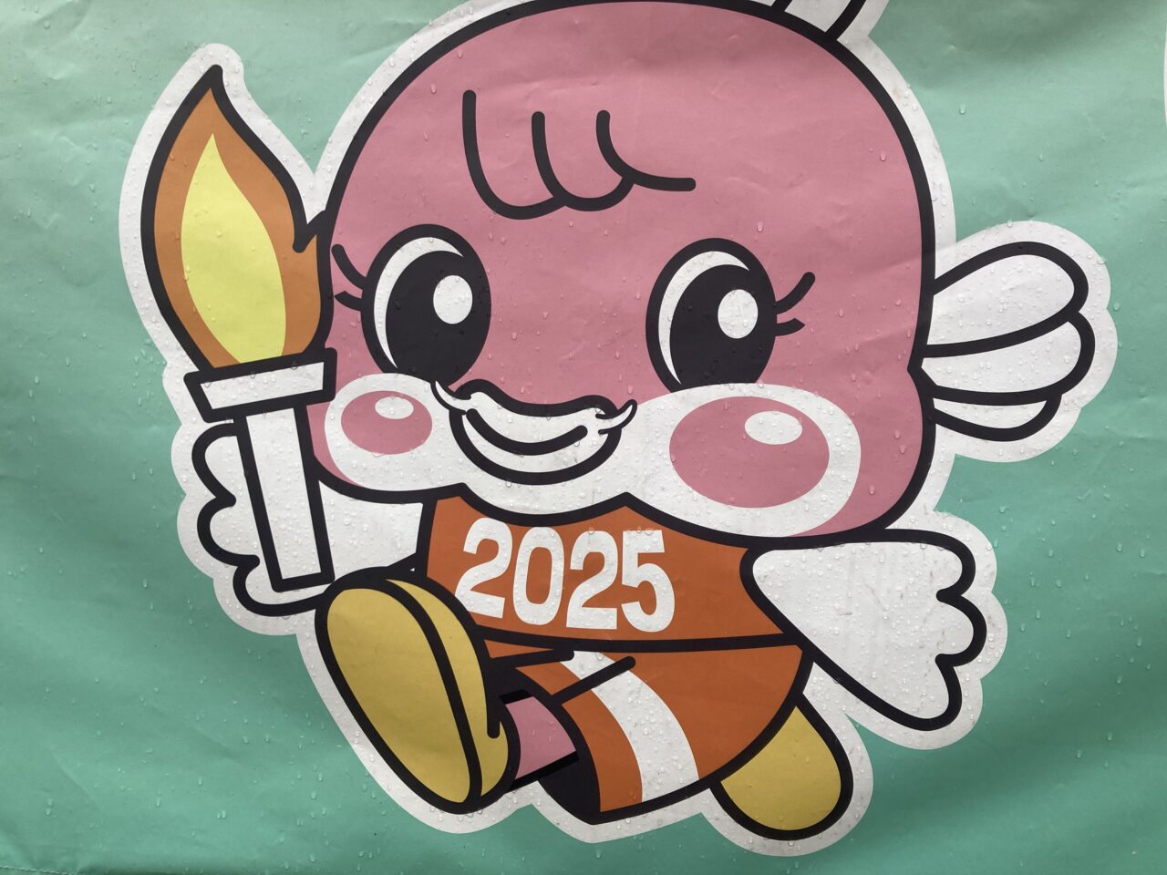 国スポしょうすぽ3