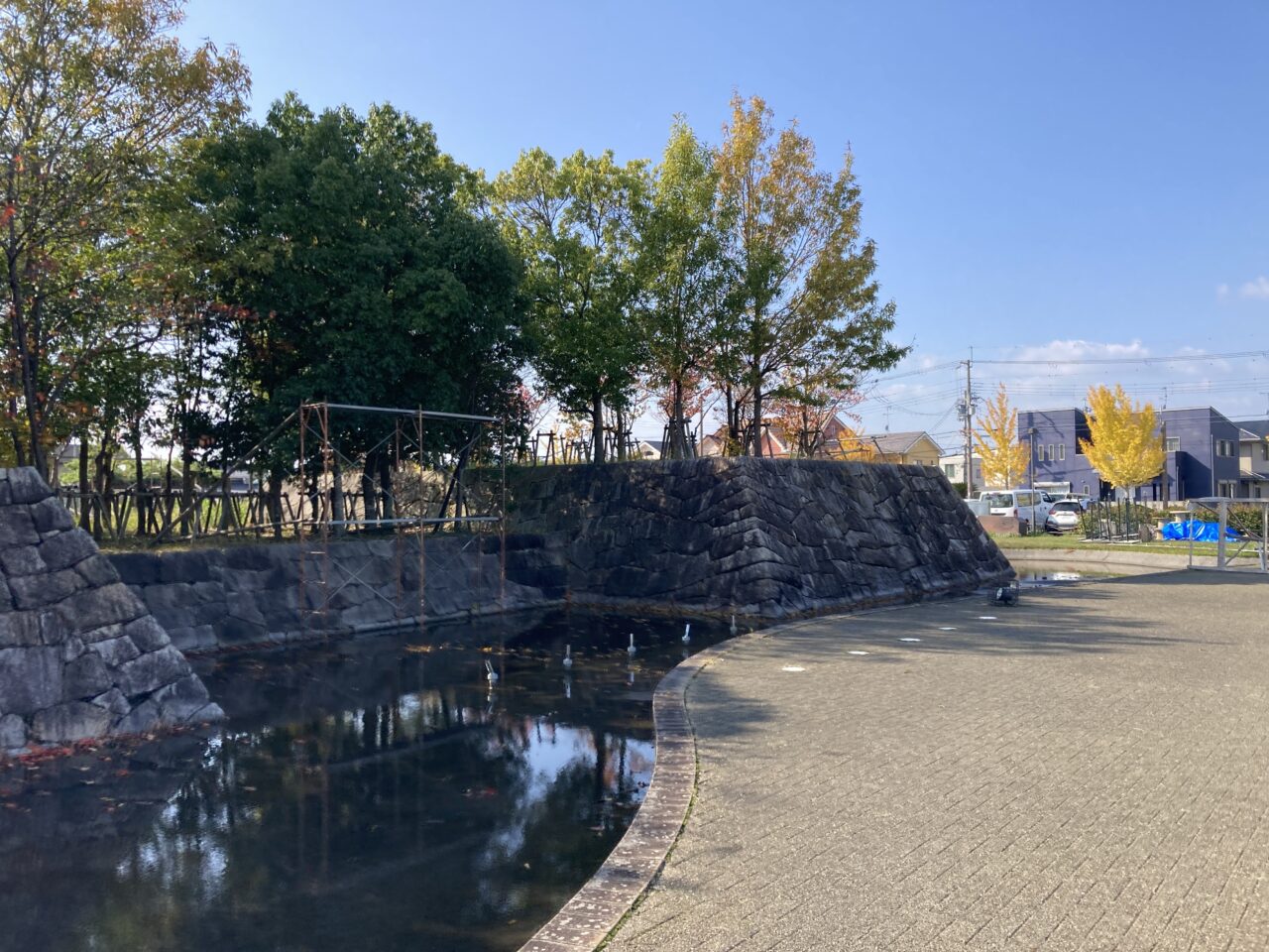 ライティングベル5