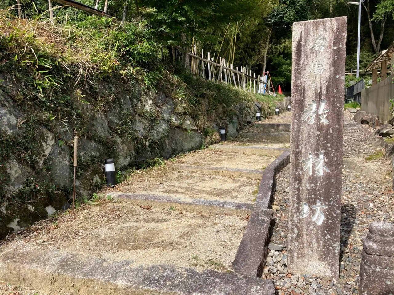 きょうりんぼう2