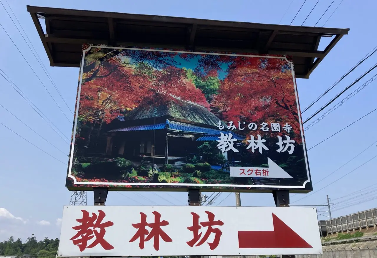 きょうりんぼう1