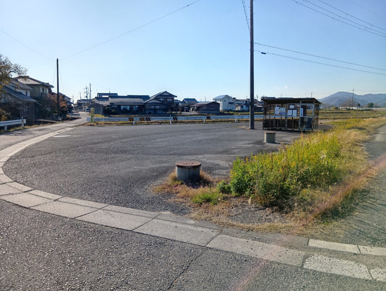 伊庭内湖ヨシ刈り3