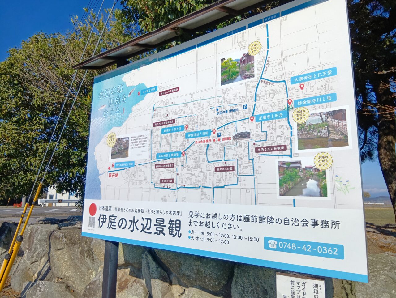 伊庭内湖ヨシ刈り4