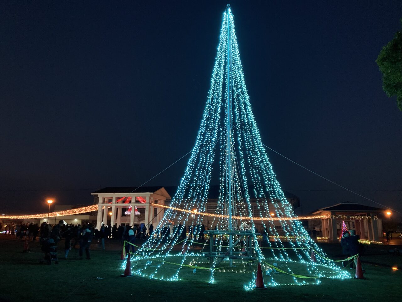 ライティングベル6