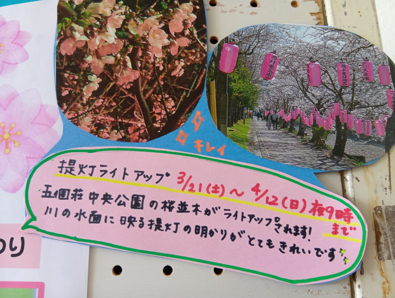 さくらまつり4