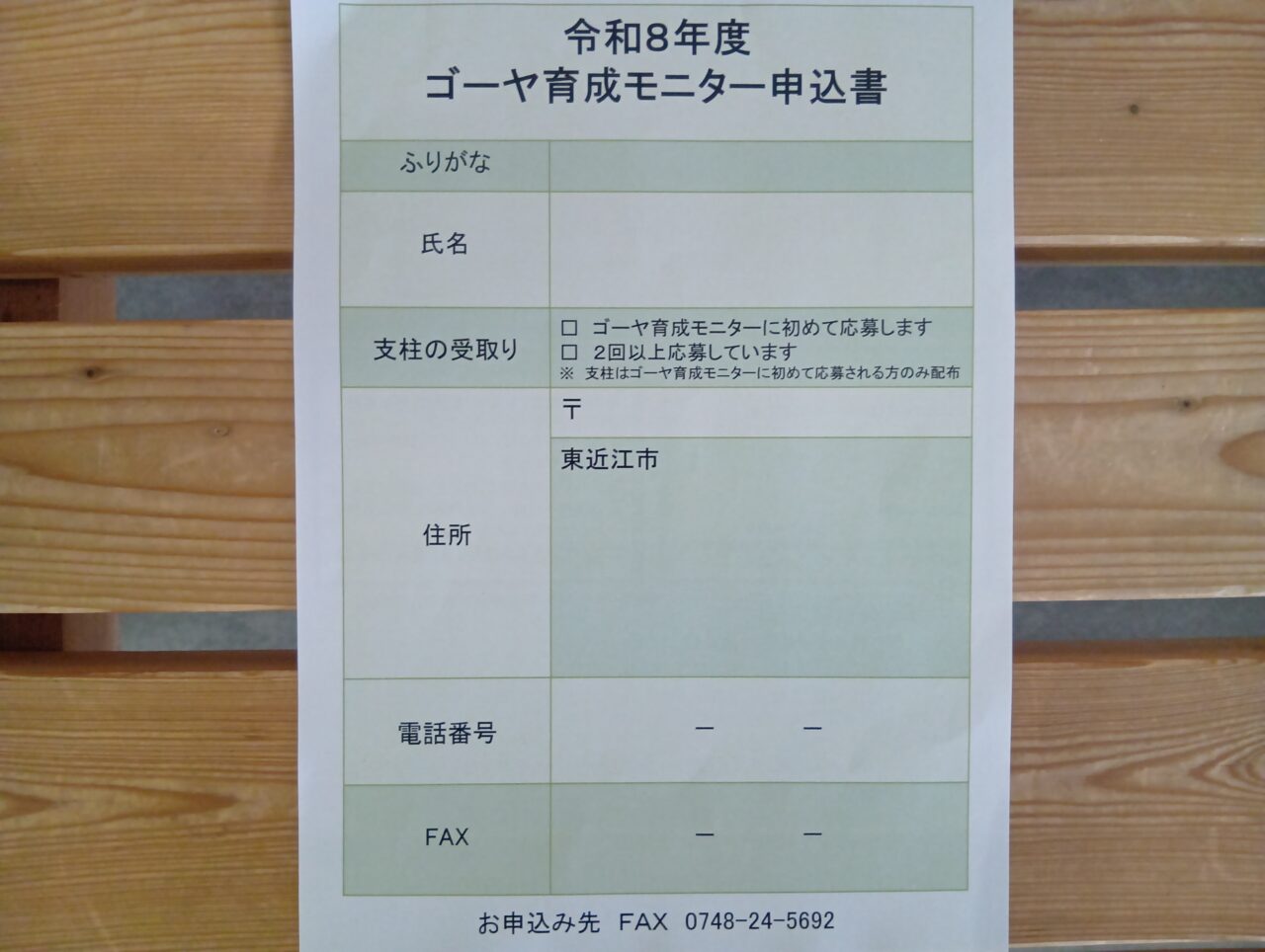 みどりのかーてん3