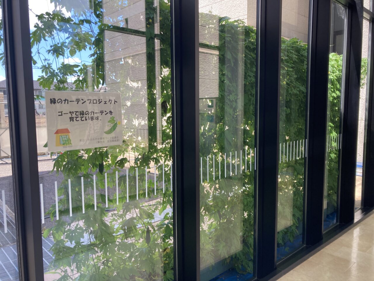 みどりのかーてん2