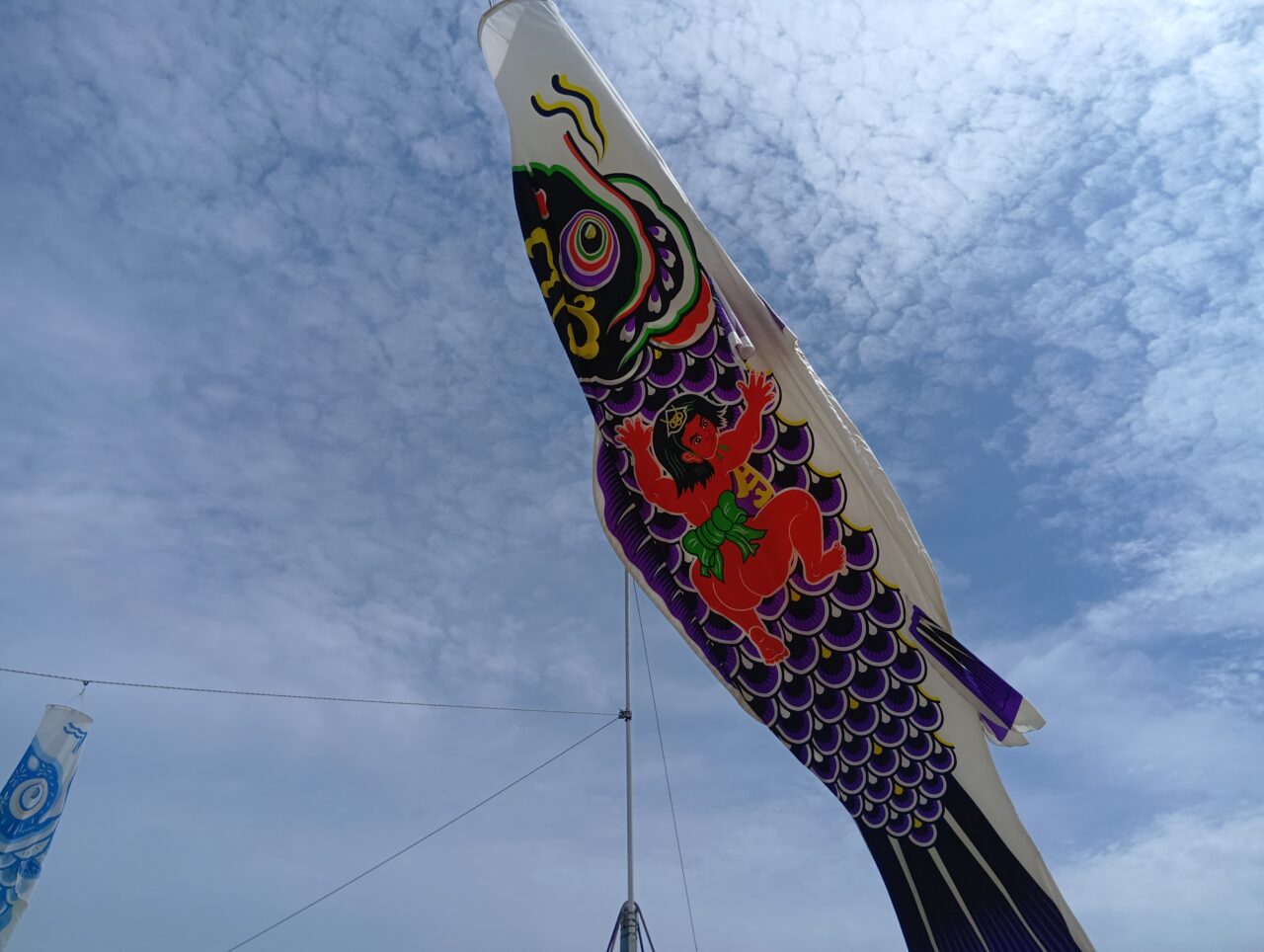 鯉のぼり4