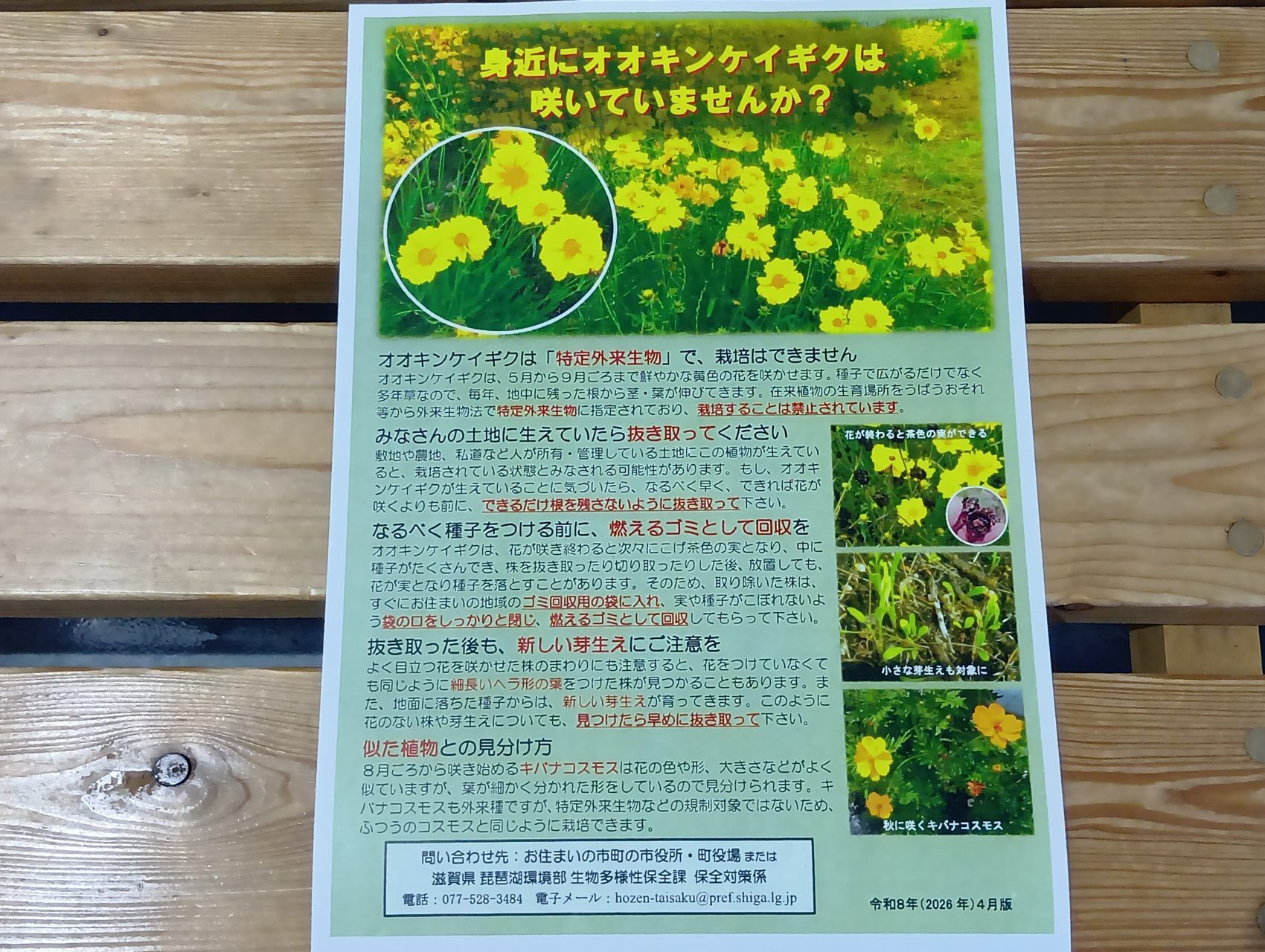 ごみぜろ3