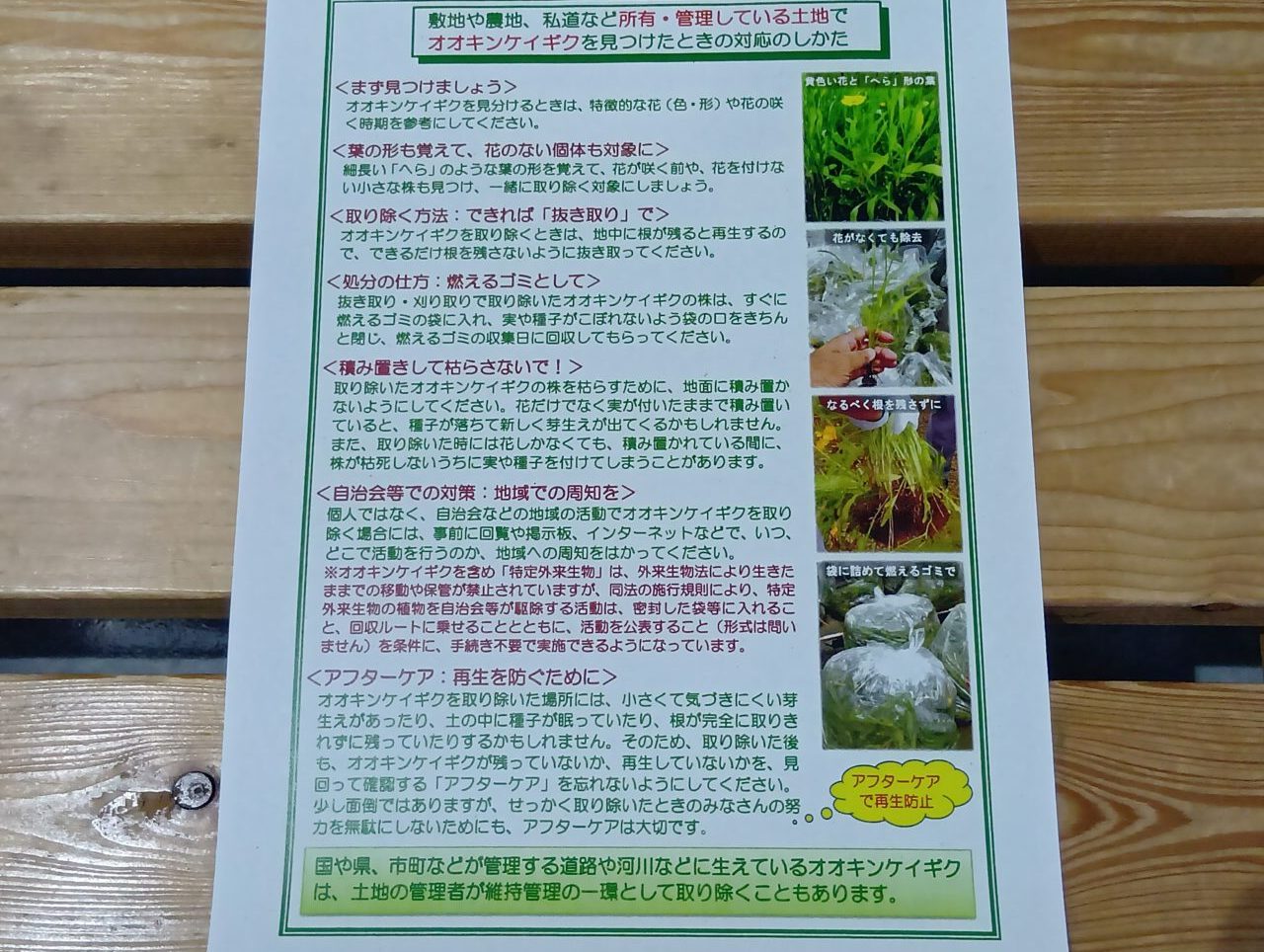 ごみぜろ4