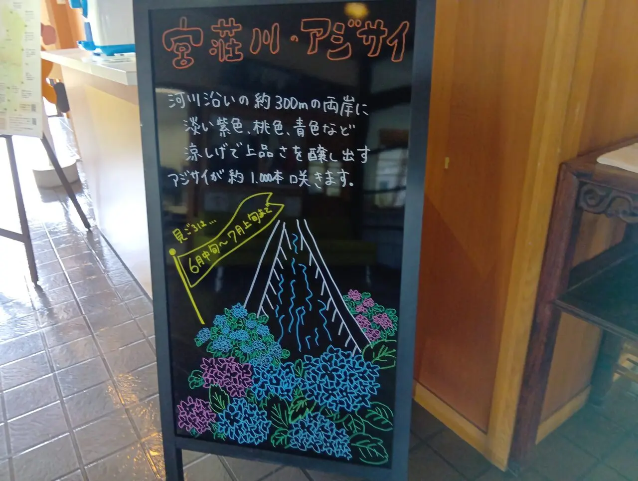 あじさい1