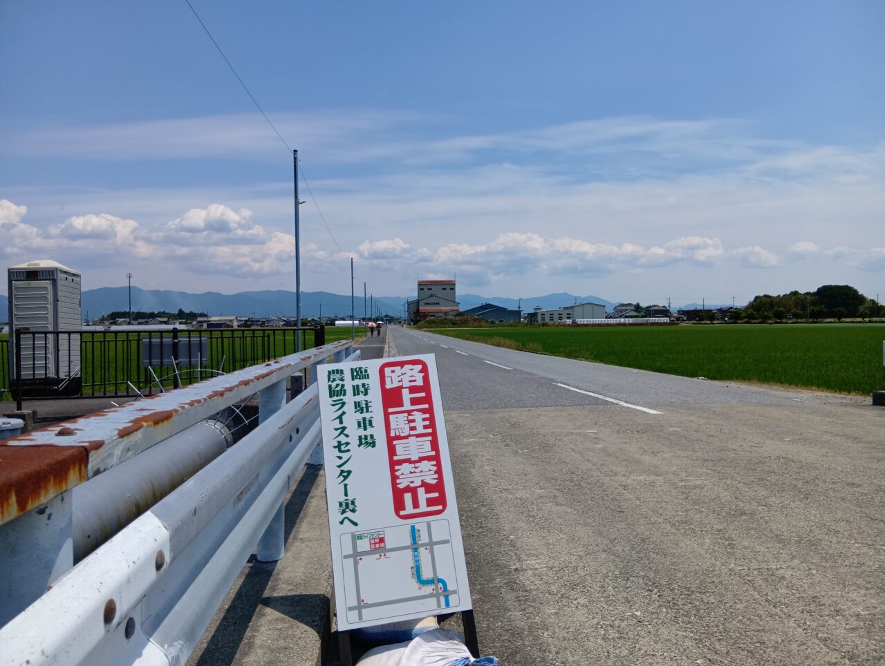 あじさい10