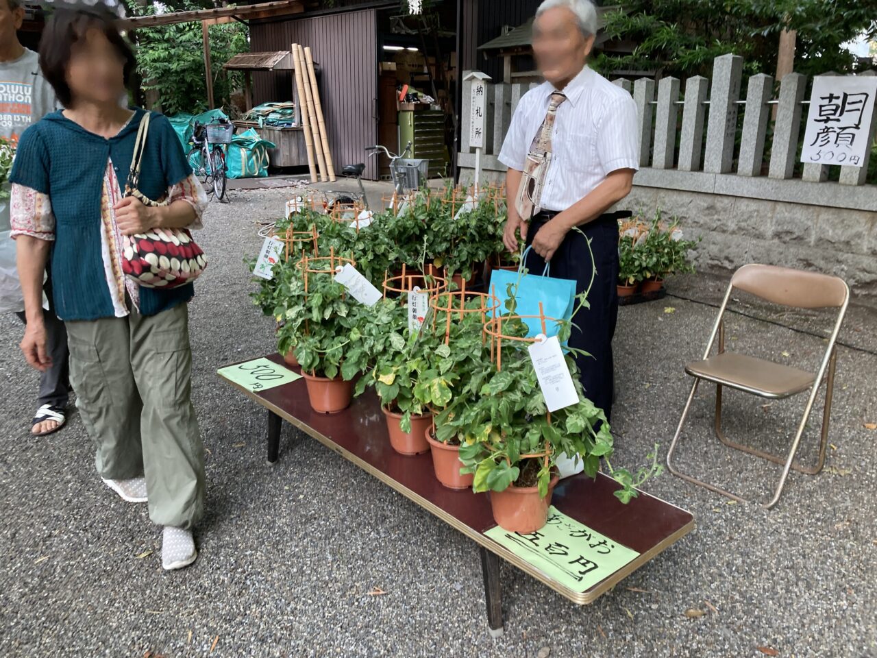 こんぴら、ののみや3