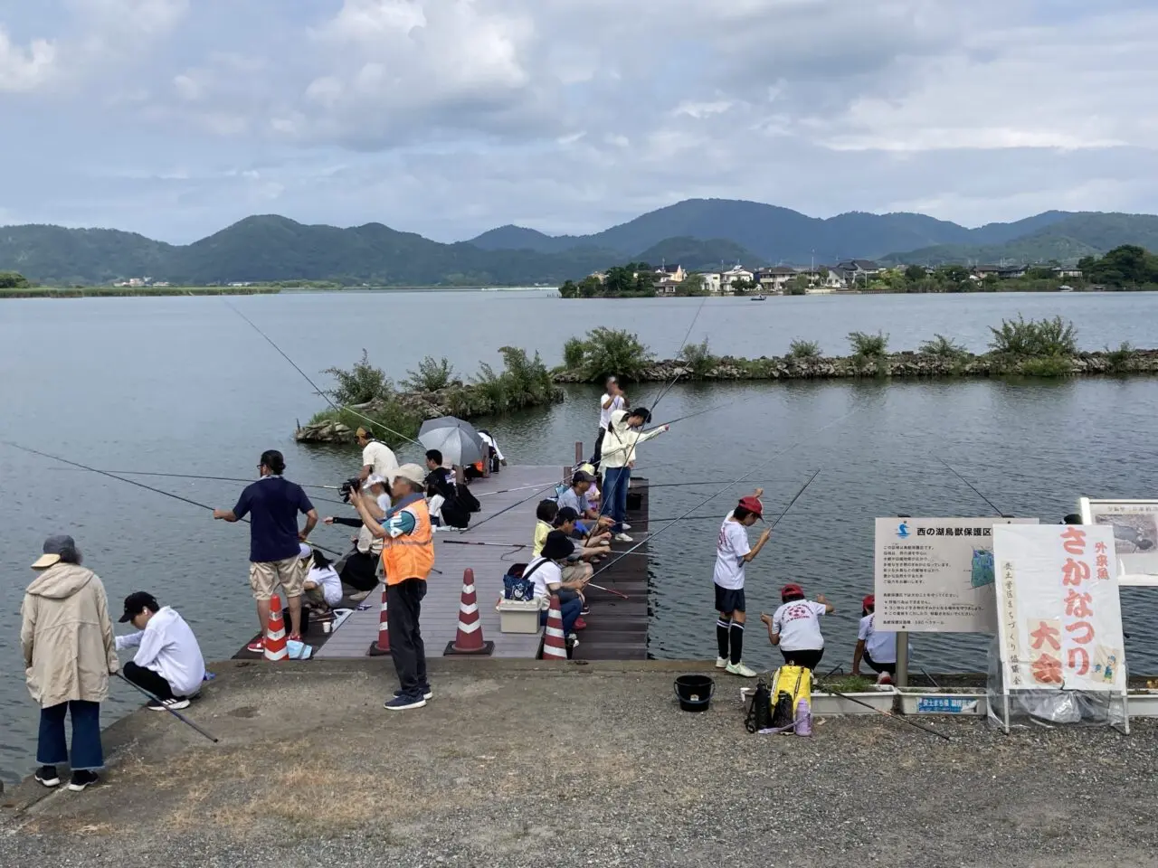 西の湖、魚2