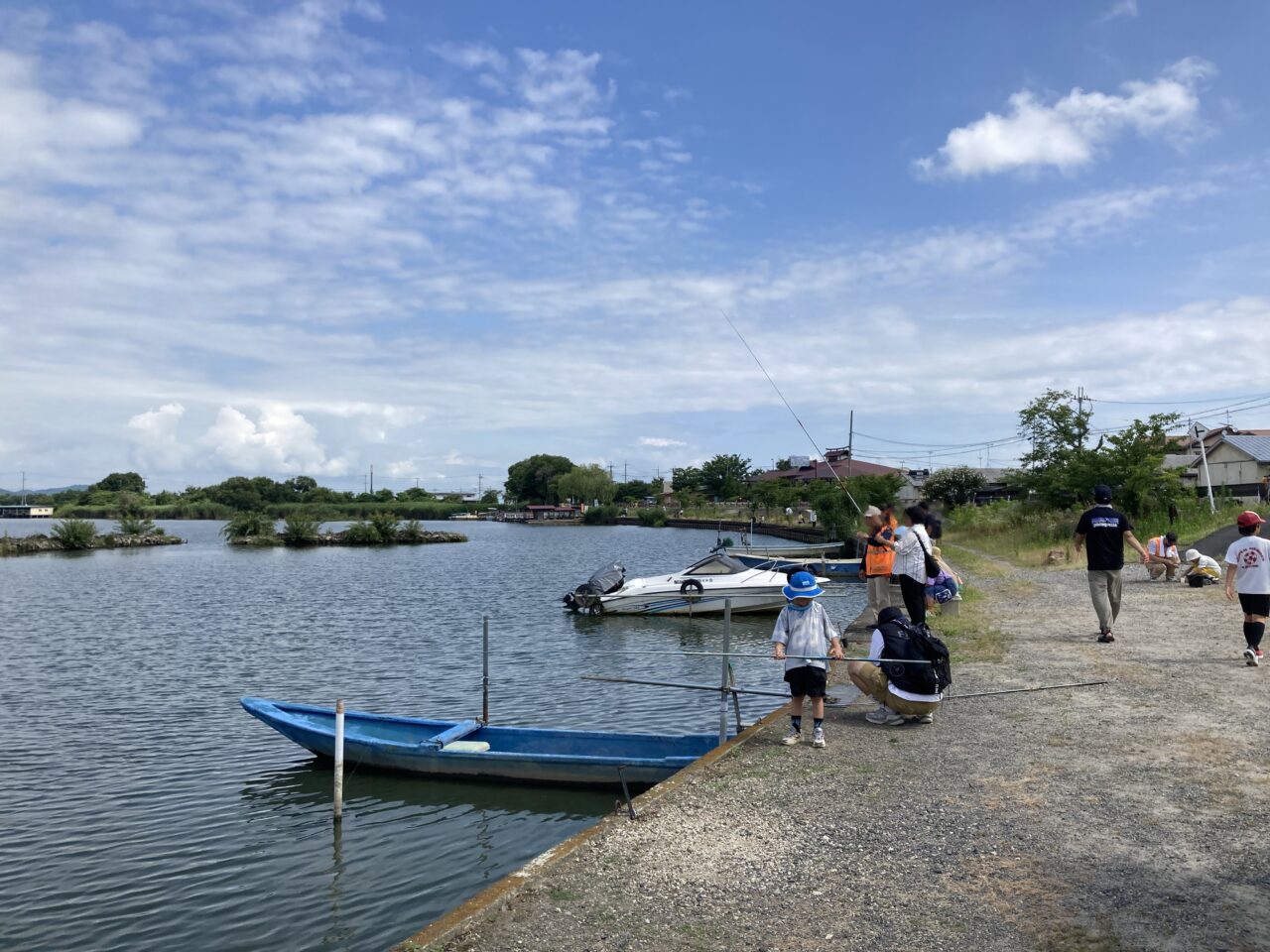 西の湖、魚3