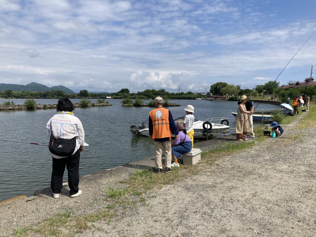 西の湖、魚5