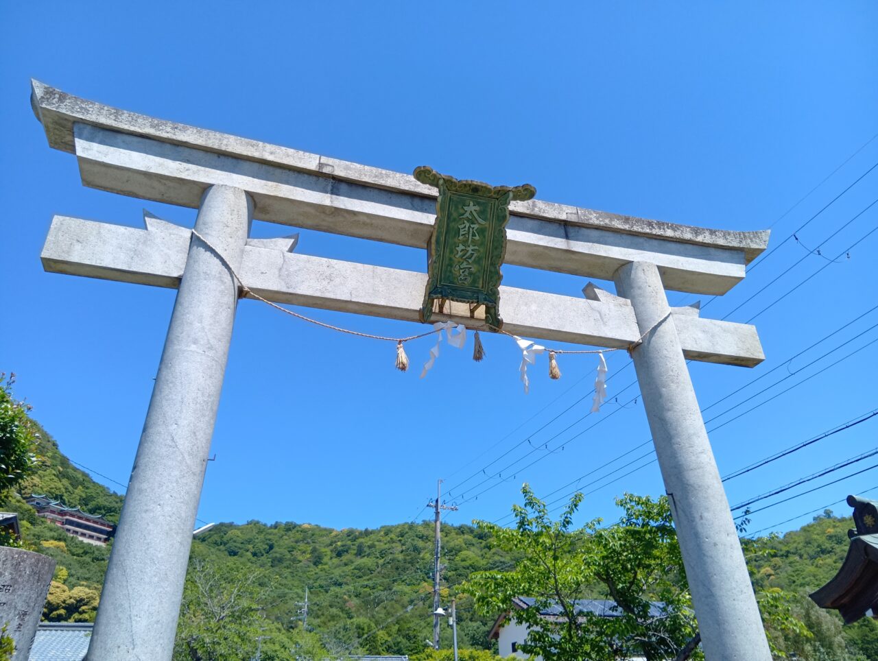 せんにちえ5