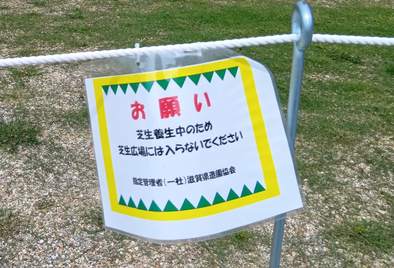 芝生4