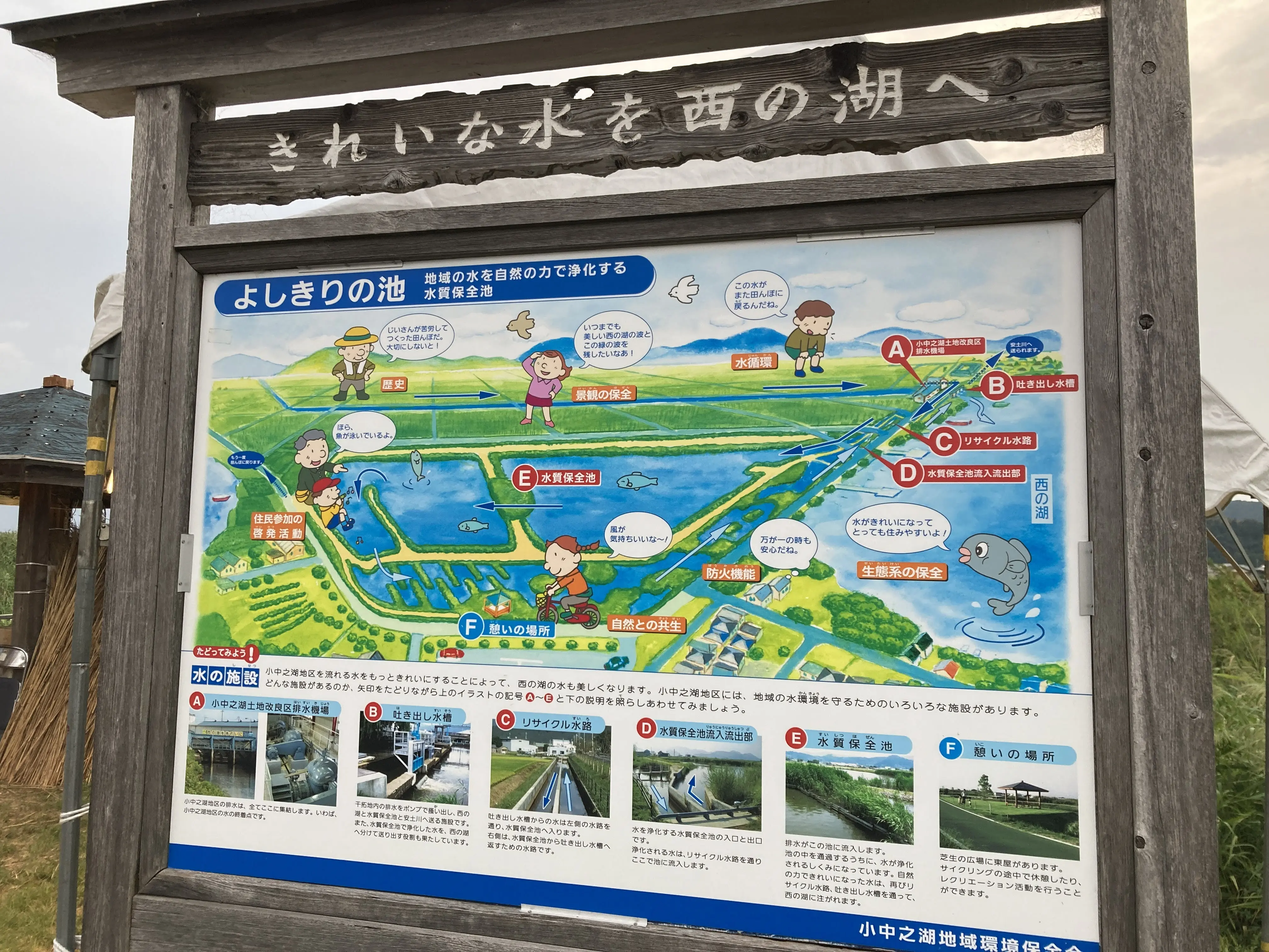 よし7