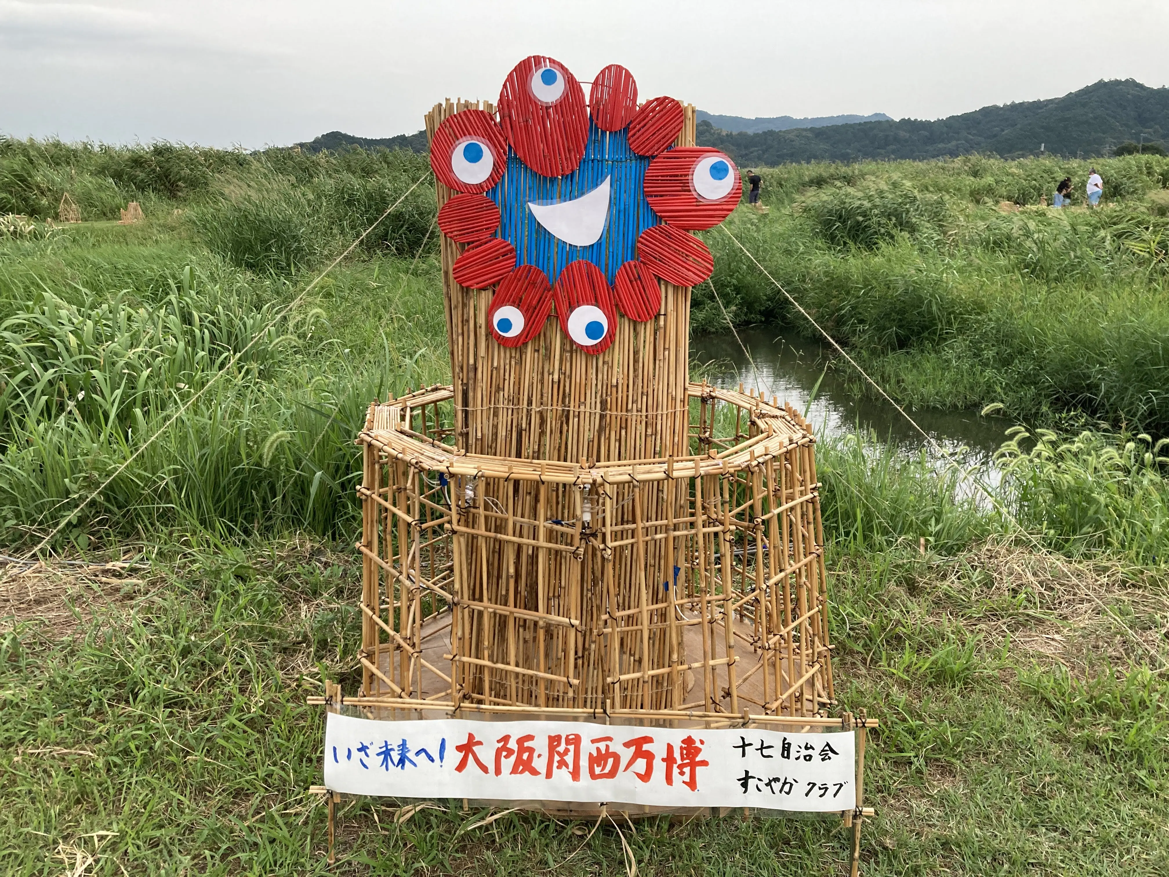 よし6