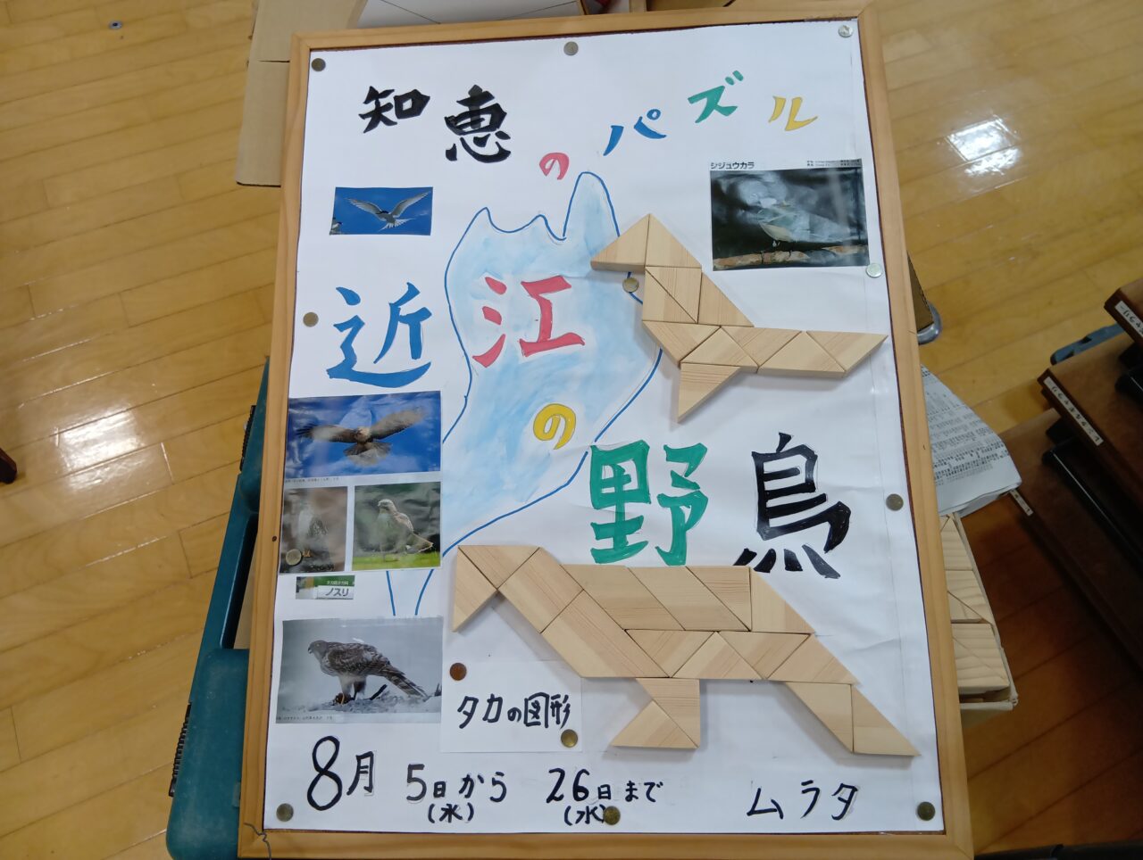 野鳥2