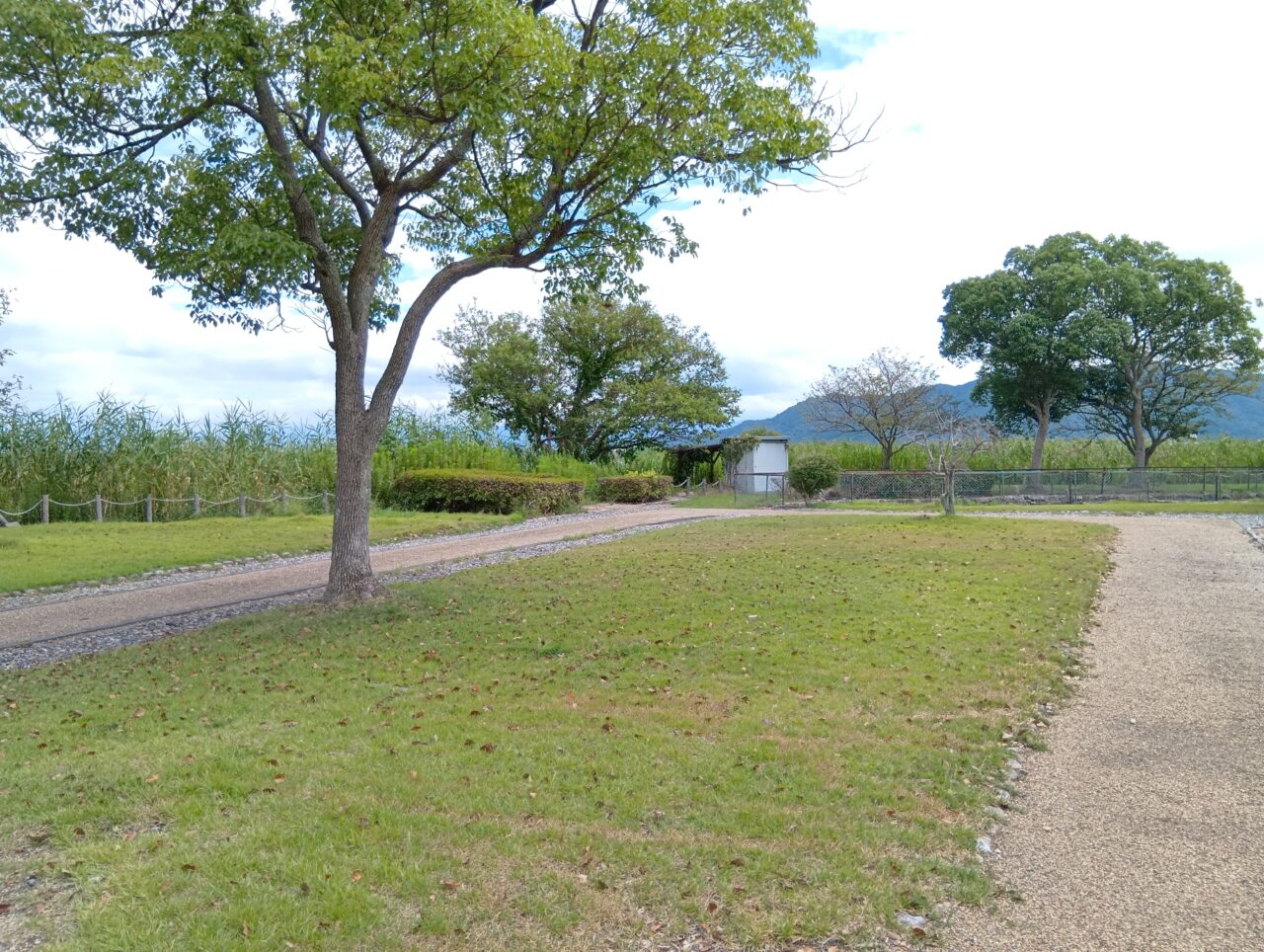 伊庭内湖キャンプ8