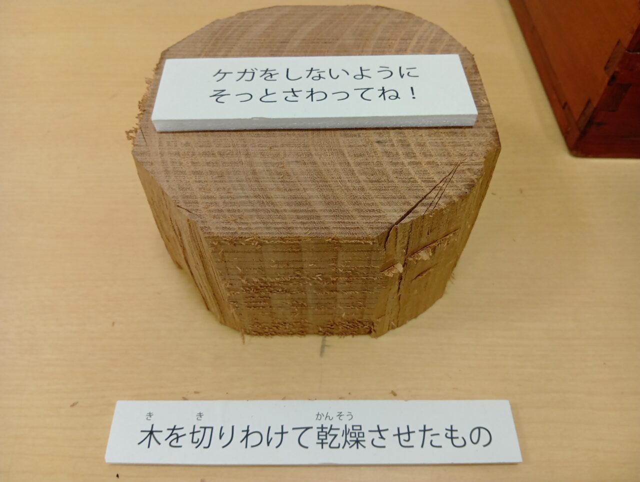 きじし4